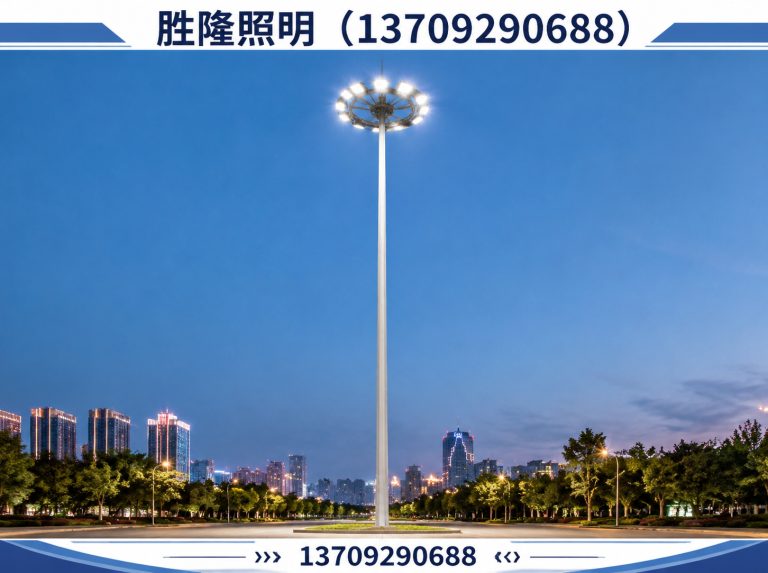 高陵区胜隆照明展示图